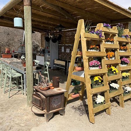 Carmey Avdat Farm Midreshet Ben Gurion ภายนอก รูปภาพ