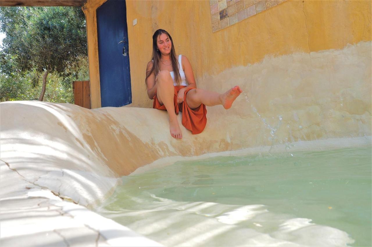 Carmey Avdat Farm Midreshet Ben Gurion ภายนอก รูปภาพ