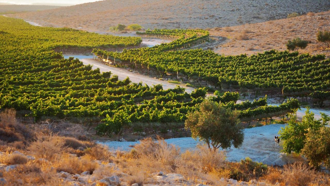 Carmey Avdat Farm Midreshet Ben Gurion ภายนอก รูปภาพ