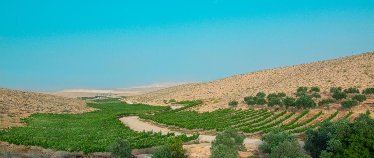 Carmey Avdat Farm Midreshet Ben Gurion ภายนอก รูปภาพ