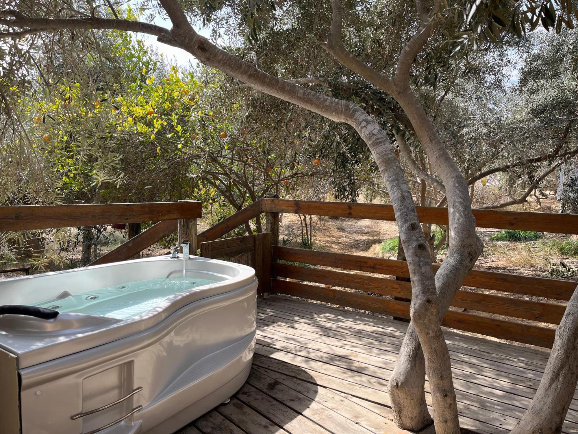 Carmey Avdat Farm Midreshet Ben Gurion ภายนอก รูปภาพ