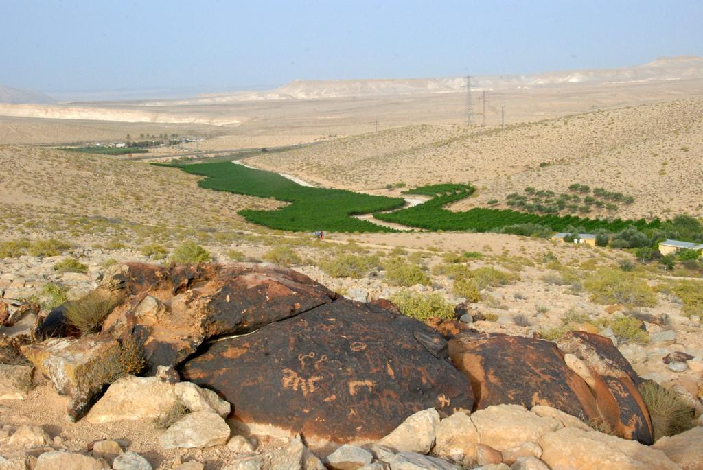 Carmey Avdat Farm Midreshet Ben Gurion ภายนอก รูปภาพ