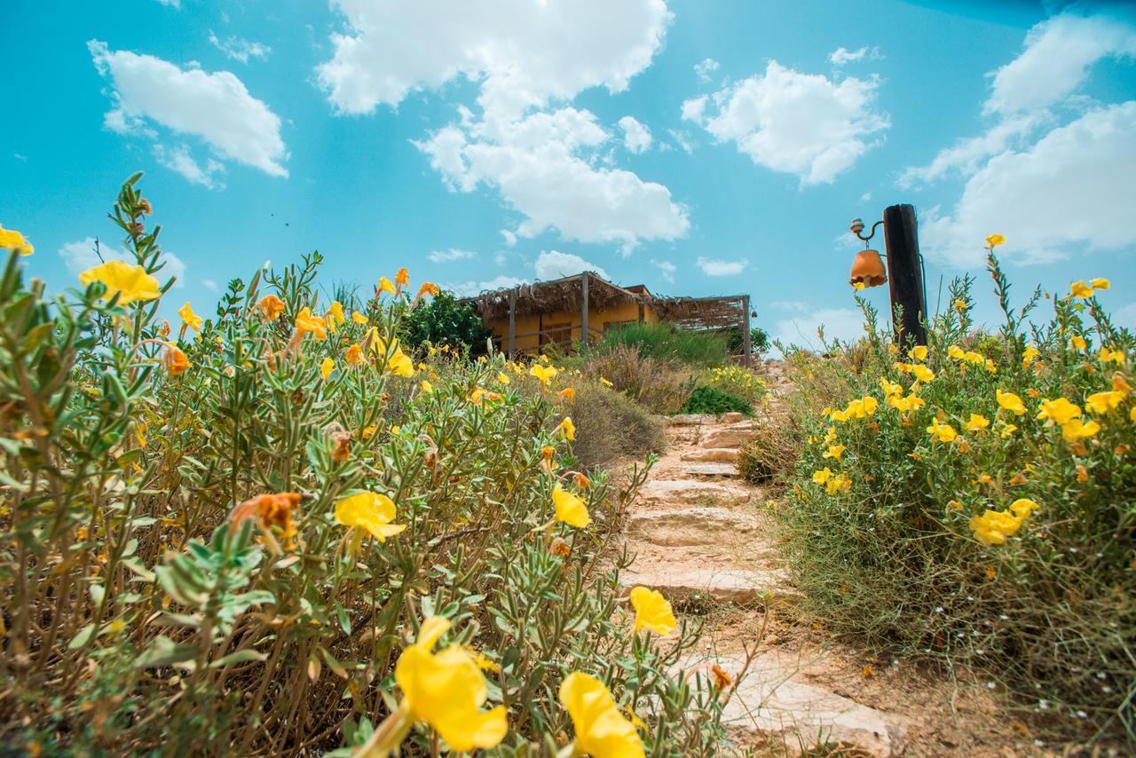 Carmey Avdat Farm Midreshet Ben Gurion ภายนอก รูปภาพ